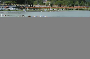 colonia 2011