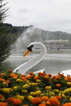 Foto: Fernando Camargo