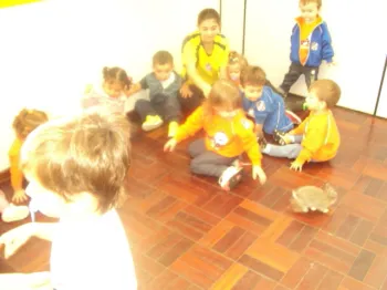 Atividades desenvolvidas na Escola Doritos