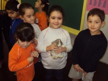 Atividades desenvolvidas na Escola Doritos