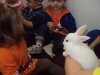 Atividades desenvolvidas na Escola Doritos