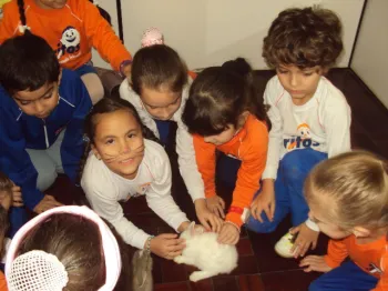Atividades desenvolvidas na Escola Doritos