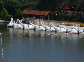 Foto: Fernando Camargo
