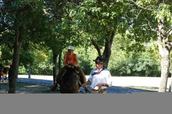 colonia 2012