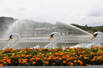 Foto: Fernando Camargo