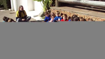 escola doritos