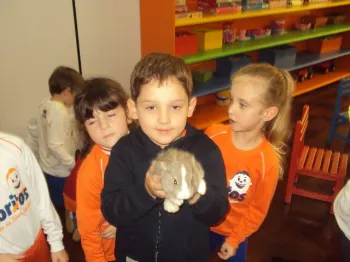 Atividades desenvolvidas na Escola Doritos