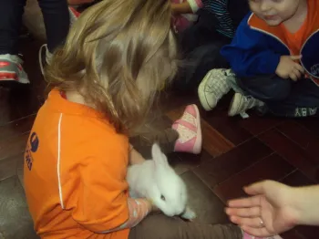 Atividades desenvolvidas na Escola Doritos