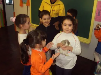 Atividades desenvolvidas na Escola Doritos