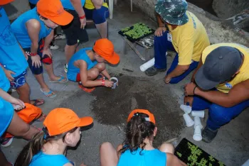Foto: Fernando Camargo
