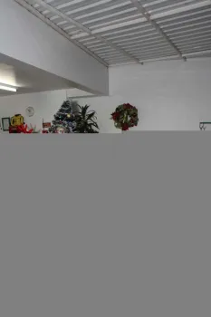 Foto: Fernando Camargo