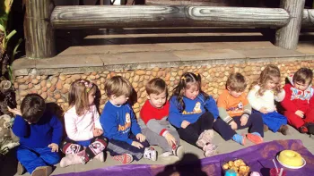 escola doritos