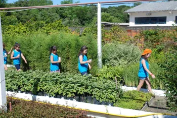 Foto: Fernando Camargo