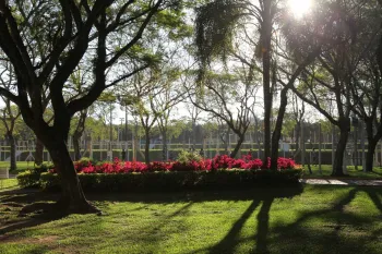 Foto: Fernando Camargo