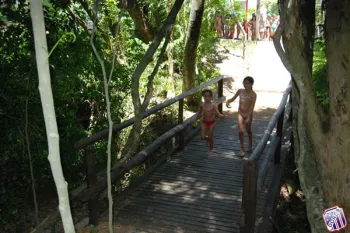 colonia 2011
