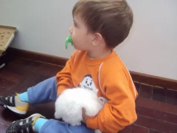 Atividades desenvolvidas na Escola Doritos