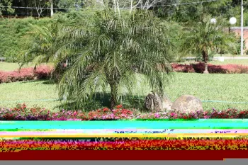 Foto: Fernando Camargo