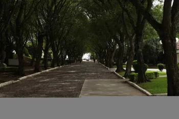 Foto: Fernando Camargo