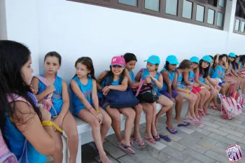 colonia 2011