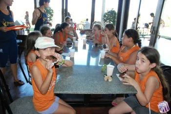 colonia 2012