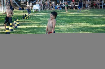 colonia 2012