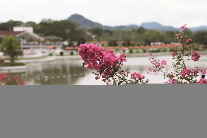 Final de Semana Sede Campestre (14-02)
